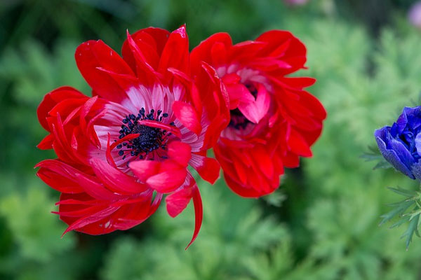 Người có giờ sinh này chăm chỉ, lạc quan, sớm cất cánh nhanh trong sự nghiệp, mỗi ngày đều vui vẻ-1