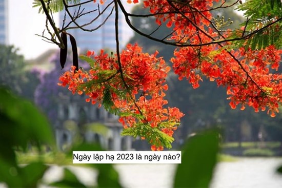 Ngày Lập hạ 2023 là ngày nào?