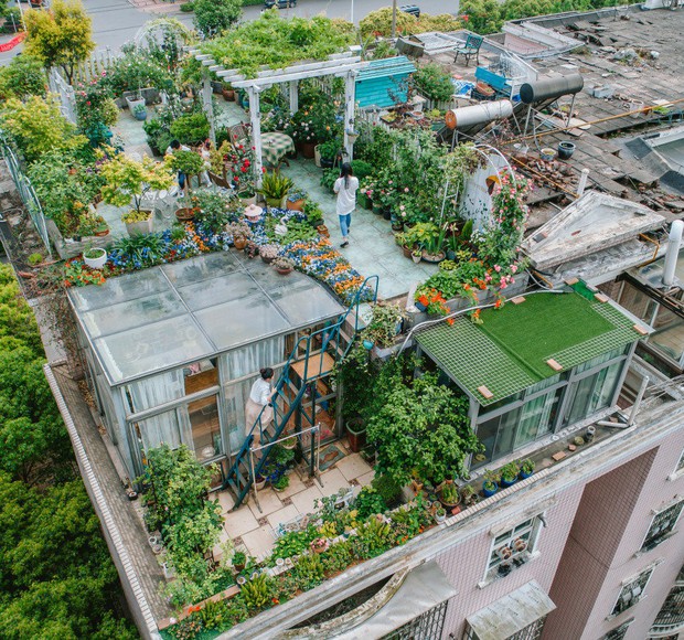 Người phụ nữ 45 tuổi biến mái nhà thành khu vườn ấn tượng-1