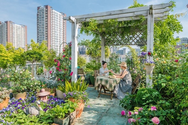 Ngắm hoài không chán khu vườn sân thượng bốn mùa nở hoa-9