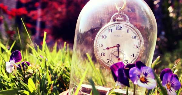 Tử vi tuần mới 24/4 - 30/4/2023: Tuổi Tỵ mọi việc tốt đẹp, tuổi Dậu đạt thành tích cao-2