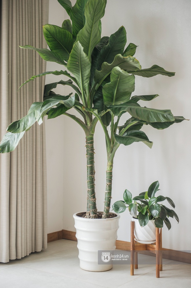 Căn hộ đập thông 300m2, chi phí sửa sang bằng tiền mua 1 căn chung cư nữa khiến Kiều Anh thấy như đi nghỉ dưỡng khi ở nhà-24