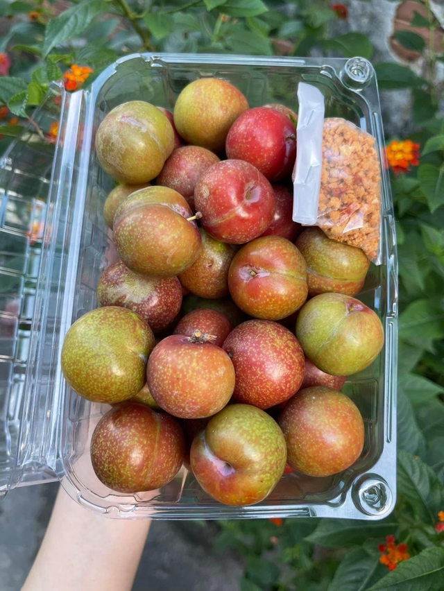 Mận Mộc Châu, Sơn La sốt giá trên chợ mạng-2