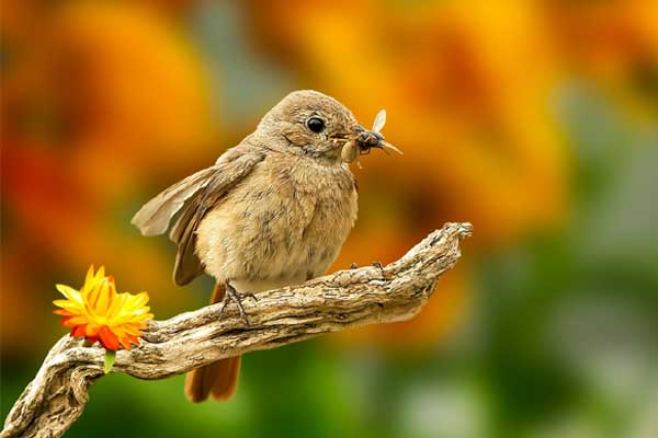 Tử vi ngày 25/4/2023 của 12 cung hoàng đạo: Thiên Bình sáng tạo, Ma Kết tràn đầy năng lượng-5