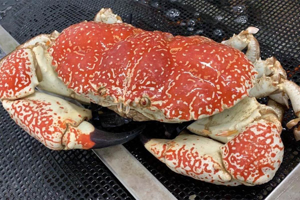 Vé máy bay giảm nhiệt, đại lý xả hàng giá vẫn cao-3