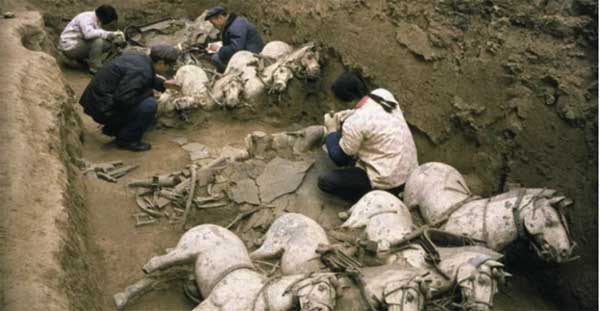 Những bộ xương kỳ lạ trong lăng Tần Thủy Hoàng: Loài vật cũng bị tuẫn táng-2