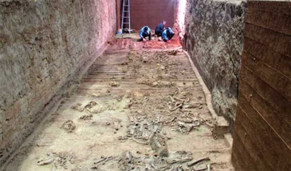 Những bộ xương kỳ lạ trong lăng Tần Thủy Hoàng: Loài vật cũng bị tuẫn táng-3