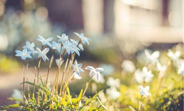 Tử vi ngày 25/4/2023 của 12 cung hoàng đạo: Thiên Bình sáng tạo, Ma Kết tràn đầy năng lượng-4