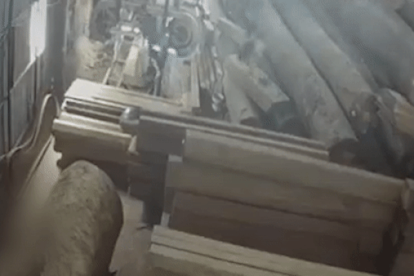 Clip: Tấm bê tông trên cầu vượt bất ngờ đổ sập, suýt đè trúng ô tô-1