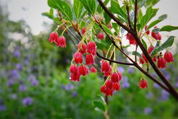 Tử vi ngày 25/4/2023: Tuổi Sửu nhiều điều phiền lòng, tuổi Mão lợi nhuận bất ngờ-2