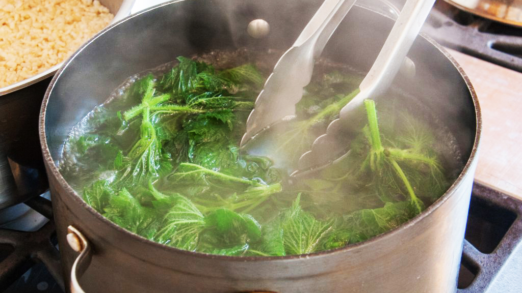 Luộc rau đậy vung hay mở vung? Câu hỏi gây tranh cãi đã có lí giải-2