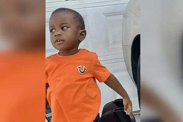 Mổ bụng cá sấu 800 kg ở Malaysia, phát hiện người xấu số-2