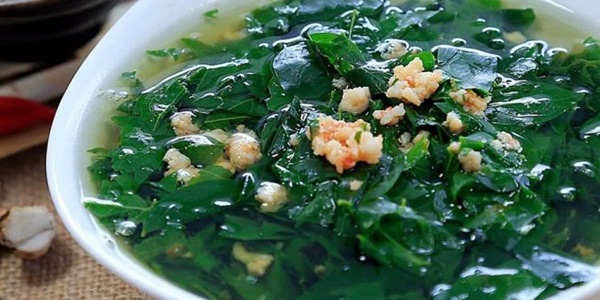 Loại rau rẻ hơn thịt, tốt hơn thuốc bổ, ngoài vườn mọc đầy nhưng không ngờ trị có tác dụng trị bệnh-3