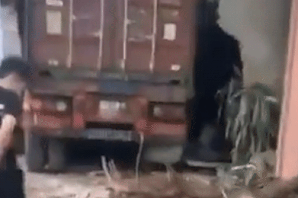 Xe container lao vào cửa hàng xe máy