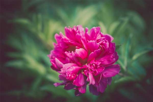 5 nốt ruồi thuận buồm xuôi gió, ai có 1/5 là cả đời an nhàn, tiền tài sung túc, vận may suôn sẻ-3