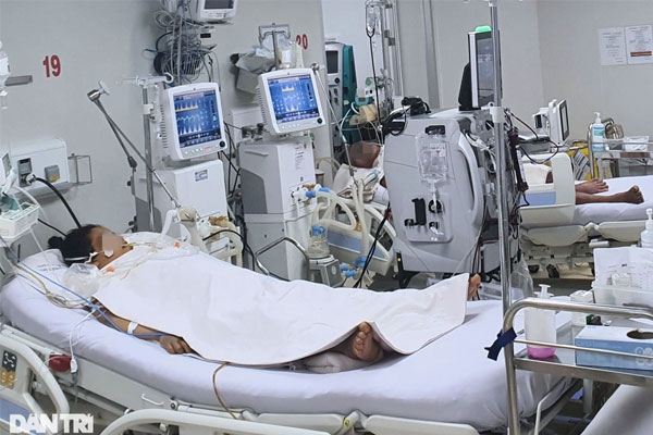 Cách phòng bệnh sốt xuất huyết đơn giản, hiệu quả-2