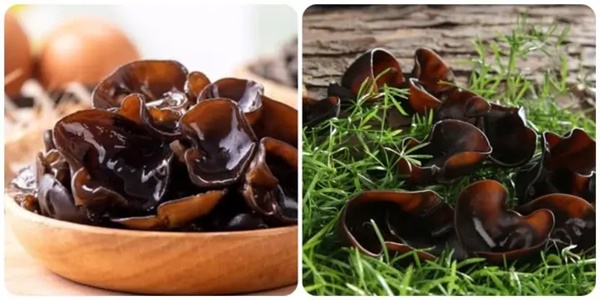 Mộc nhĩ kỵ gì? 5 thực phẩm xung khắc với mộc nhĩ tuyệt đối không nấu cùng-1