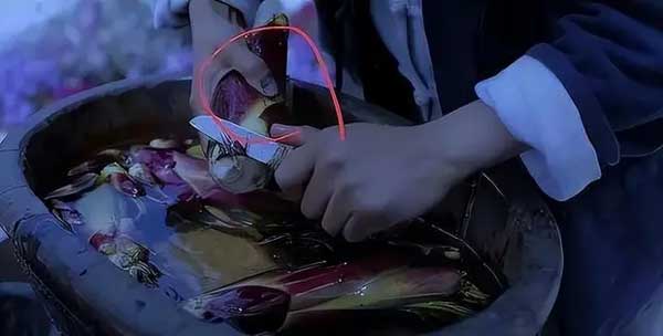 Bàn tay đầy sẹo sần sùi của tiên nữ đồng quê Lý Tử Thất: Hiện thực không như mơ-2