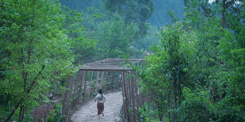 Bàn tay đầy sẹo sần sùi của tiên nữ đồng quê Lý Tử Thất: Hiện thực không như mơ-4