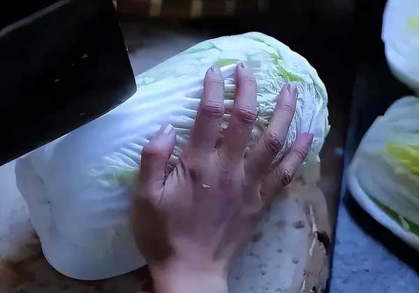 Bàn tay đầy sẹo sần sùi của tiên nữ đồng quê Lý Tử Thất: Hiện thực không như mơ-3