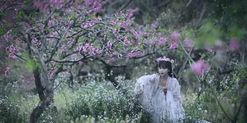 Bàn tay đầy sẹo sần sùi của tiên nữ đồng quê Lý Tử Thất: Hiện thực không như mơ-5