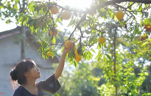 Bàn tay đầy sẹo sần sùi của tiên nữ đồng quê Lý Tử Thất: Hiện thực không như mơ-6