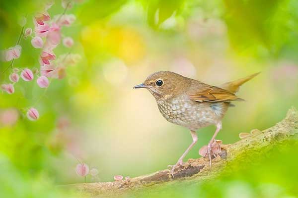 Trước kỳ nghỉ lễ 30/4, 3 con giáp đón nhiều tin vui, làm ăn phát đạt, thu tiền đầy túi-4