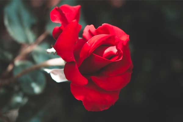 Trước kỳ nghỉ lễ 30/4, 3 con giáp đón nhiều tin vui, làm ăn phát đạt, thu tiền đầy túi-1