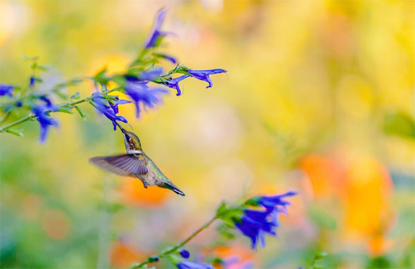 Tử vi ngày 27/4/2023: Tuổi Mùi tìm ra định hướng, tuổi Hợi thành công không ngờ-1