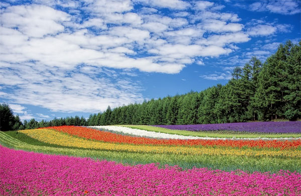 Tháng 3 Âm lịch mưa thuận gió hòa, 4 con giáp mọi việc hanh thông, sự nghiệp suôn sẻ, vô lo vô nghĩ-2