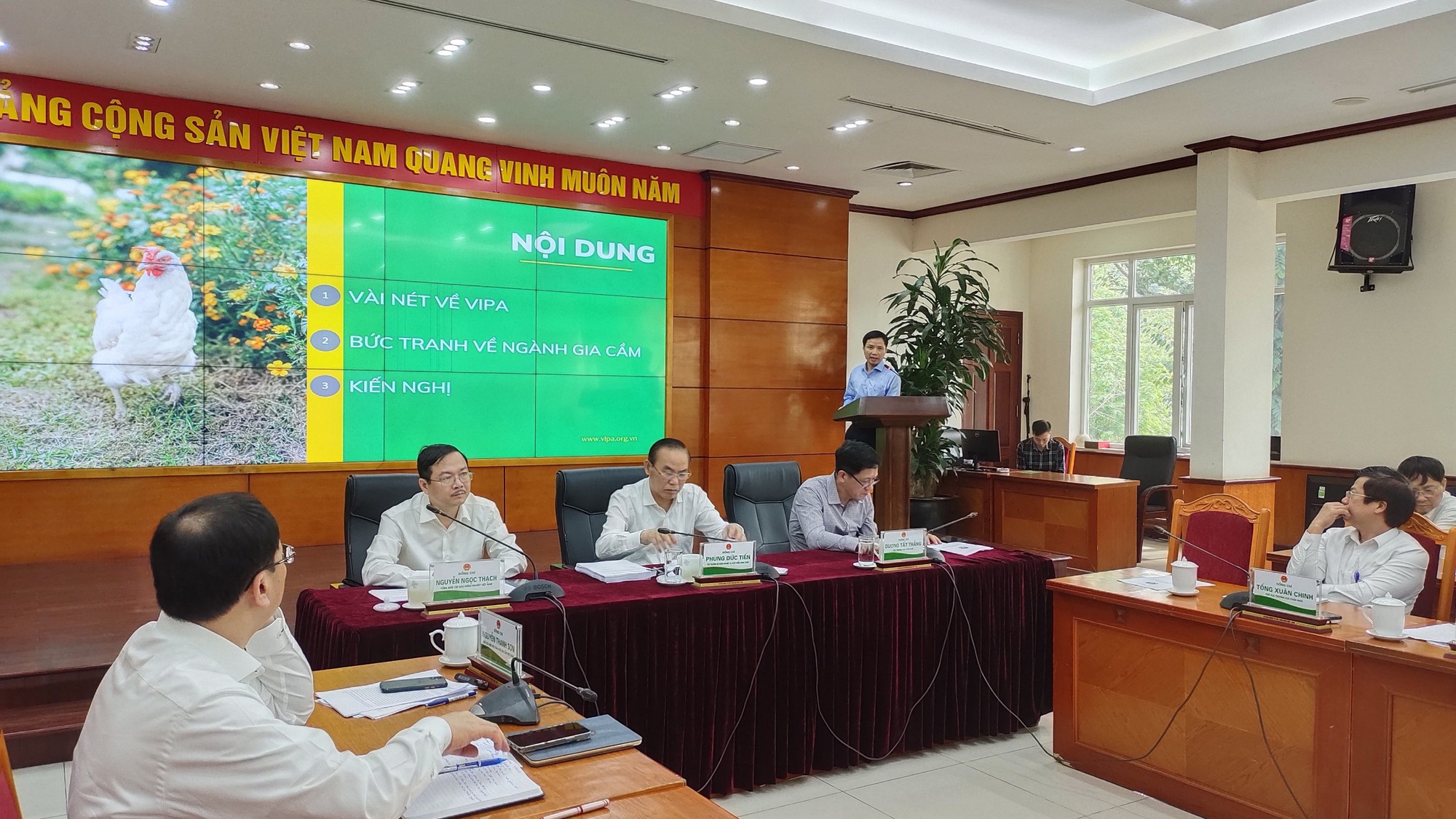 Gà thải loại đi bộ từ Thái Lan, qua Campuchia vào Việt Nam giá siêu rẻ, người chăn nuôi trong nước kêu trời-1