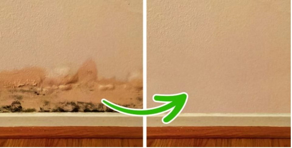 3 nơi trong nhà phát ra mùi hôi - nấm mốc khi trời nồm ẩm và cách khắc phục-1