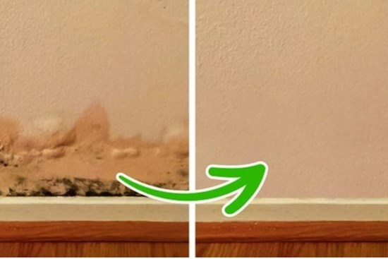 3 nơi trong nhà phát ra mùi hôi - nấm mốc khi trời nồm ẩm và cách khắc phục