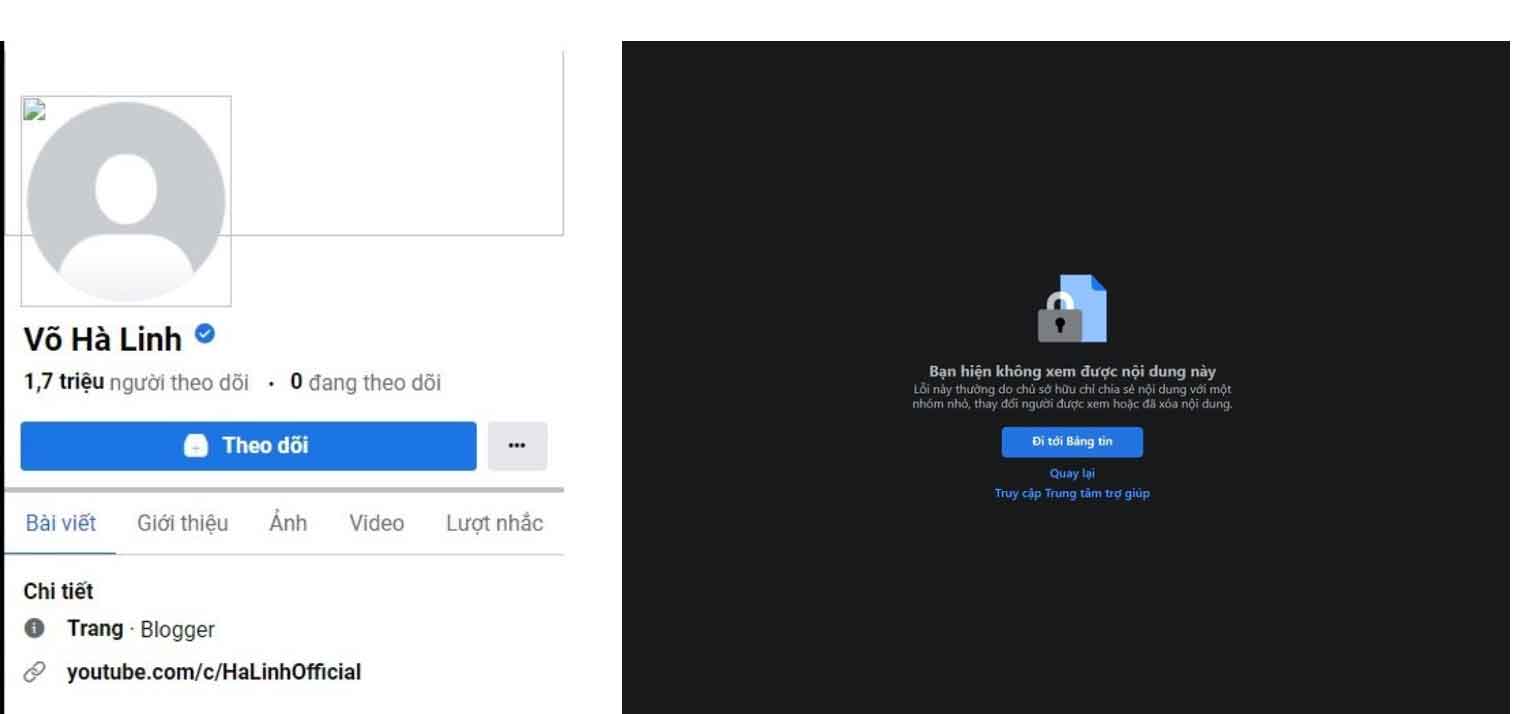 Lý do Facebook chiến thần review Hà Linh biến mất-2