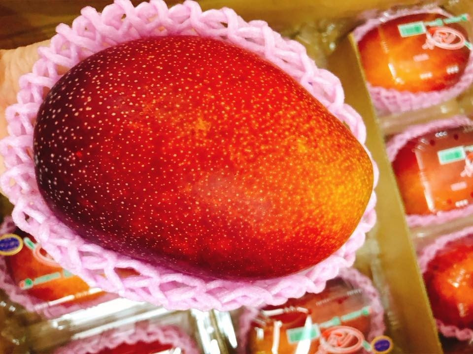 Xoài dội chợ: Hàng Nhật 2,5 triệu một quả, đặc sản Việt thơm ngon giá rẻ bèo-1