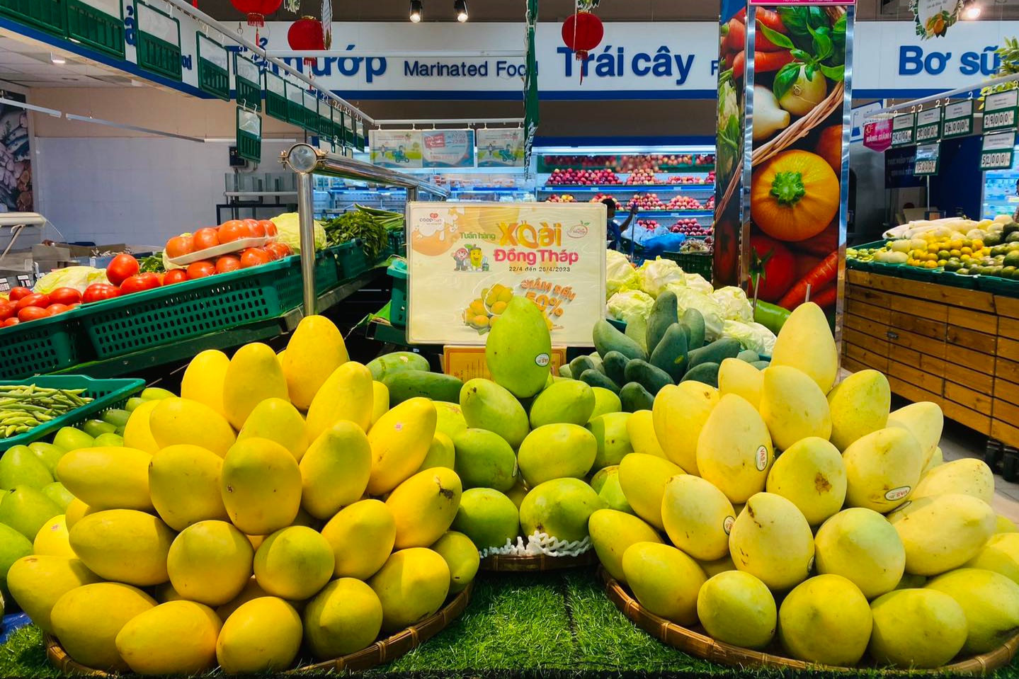 Xoài dội chợ: Hàng Nhật 2,5 triệu một quả, đặc sản Việt thơm ngon giá rẻ bèo-2