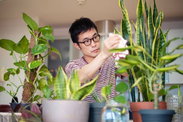 5 cây cảnh rực rỡ, vừa thơm vừa ngon, hái hoa pha trà nấu cháo, càng ăn càng trường thọ-1