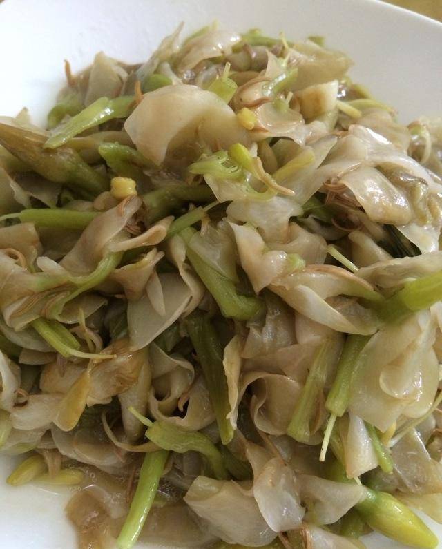 5 cây cảnh rực rỡ, vừa thơm vừa ngon, hái hoa pha trà nấu cháo, càng ăn càng trường thọ-5