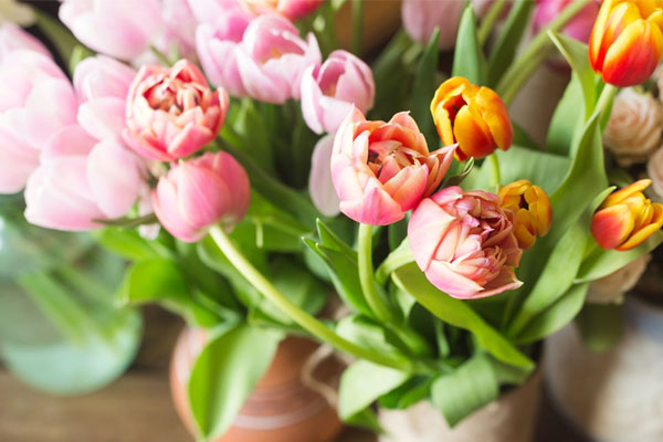 Tử vi ngày 28/4/2023 của 12 cung hoàng đạo: Bạch Dương phát triển công việc, Xử Nữ nóng tính-1