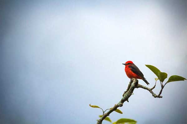 Từ tháng 5 trở đi, 4 con giáp có cuộc sống dư dả, ăn sung mặc sướng, ngày lành kéo dài-1