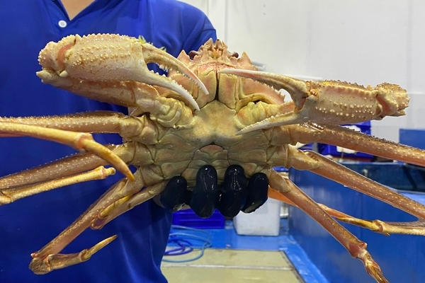 6 mẹo tiết kiệm tiền từ phụ nữ Pháp-2