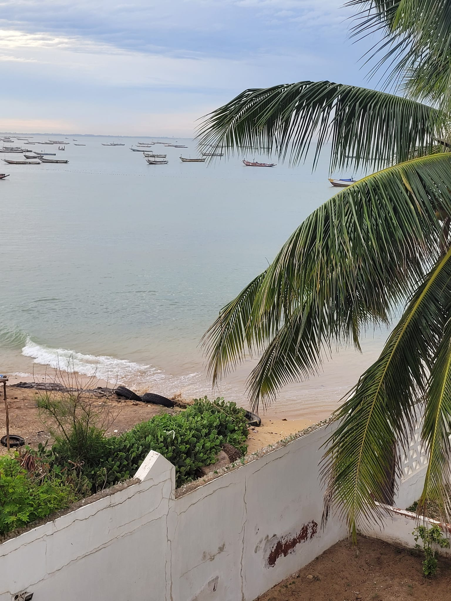 Cuộc sống của người phụ nữ Việt nấu ăn cho giới nhà giàu ở Senegal-2