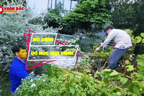 Xuân Bắc 'cứng họng' khi con trai Bi Béo hỏi cách chọn vợ