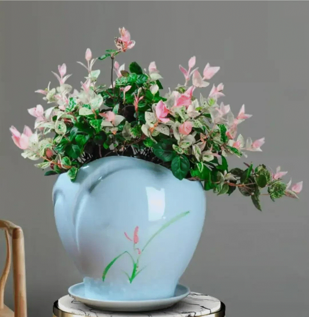 5 cây cảnh lá màu bảy sắc cầu vồng, đặt 1 chậu trong nhà không cần hoa cũng rực rỡ, tỏa sáng-11