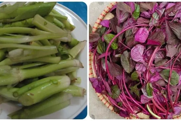 3 loại rau giúp sống lâu mọc đầy ở Việt Nam nhưng ít người biết-1