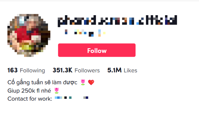 Vì sao những TikToker như Nờ Ô Nô vẫn sống tốt trên mạng xã hội?-2