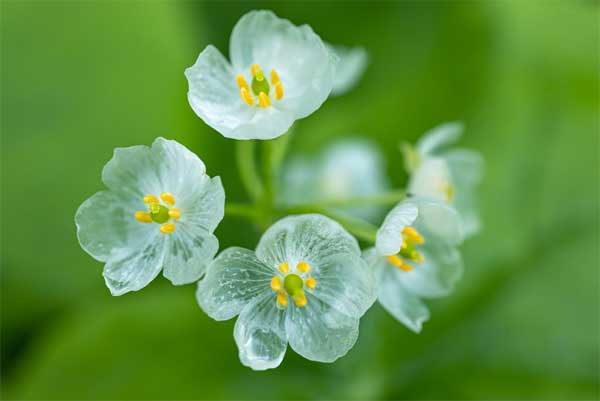 Tử vi ngày 4/5/2023 của 12 cung hoàng đạo: Kim Ngưu tự tin, Bảo Bình nghiêm túc-3