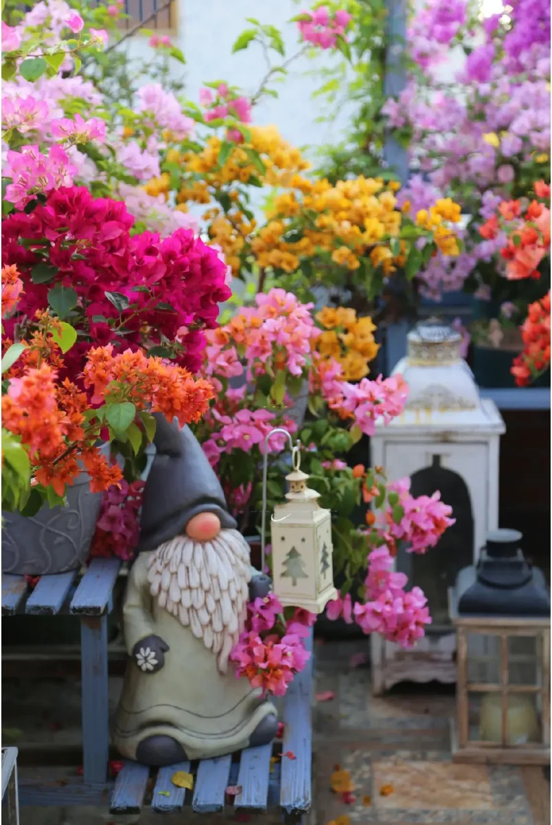 Ngắm hoài không chán khu vườn sân thượng bốn mùa nở hoa-4