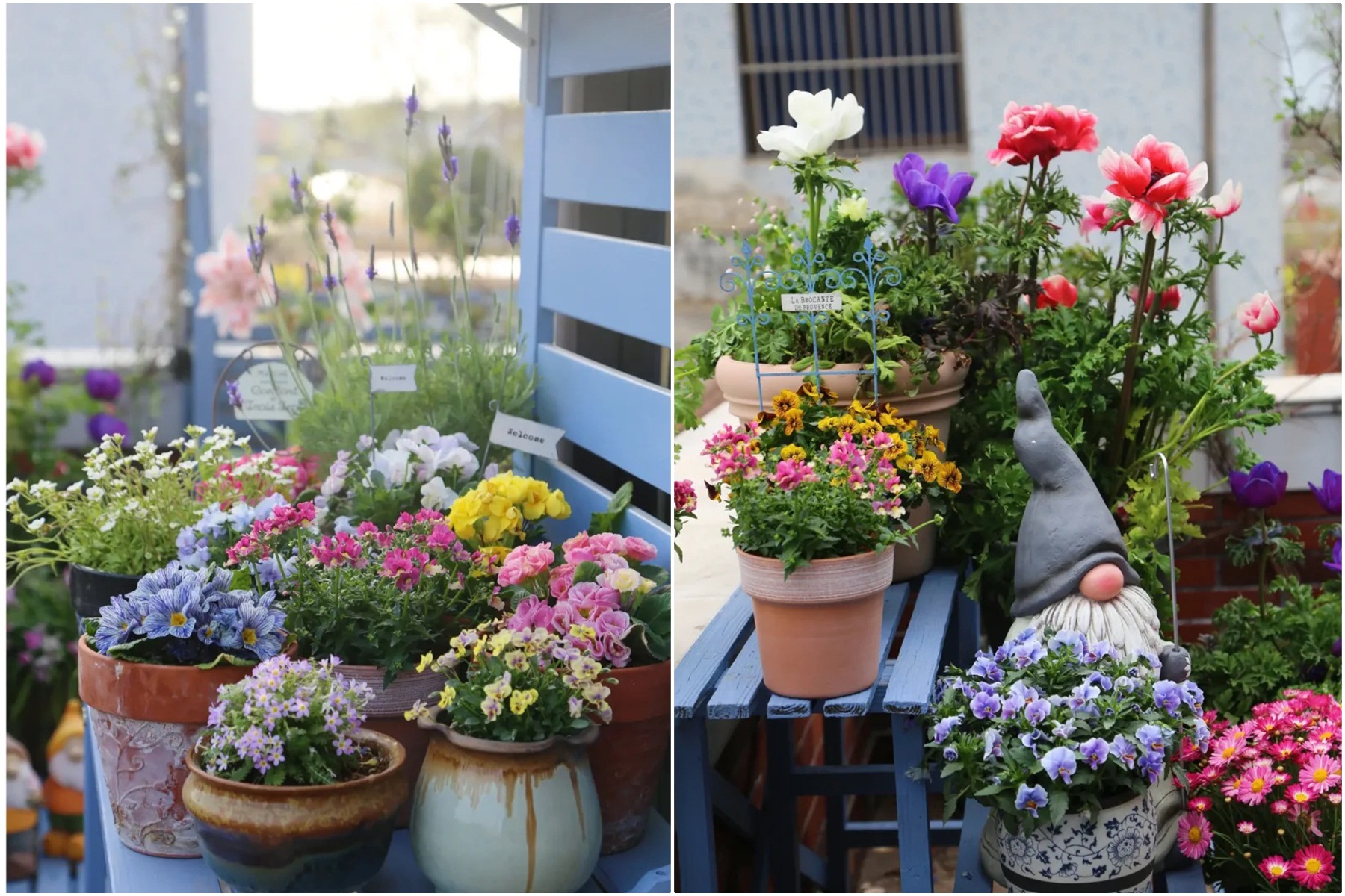 Ngắm hoài không chán khu vườn sân thượng bốn mùa nở hoa-8