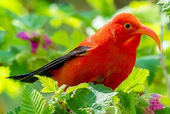 Mùa hè này, 4 con giáp không lo thất nghiệp, công việc tốt, thu nhập cao, cuộc sống tràn đầy hứng khởi